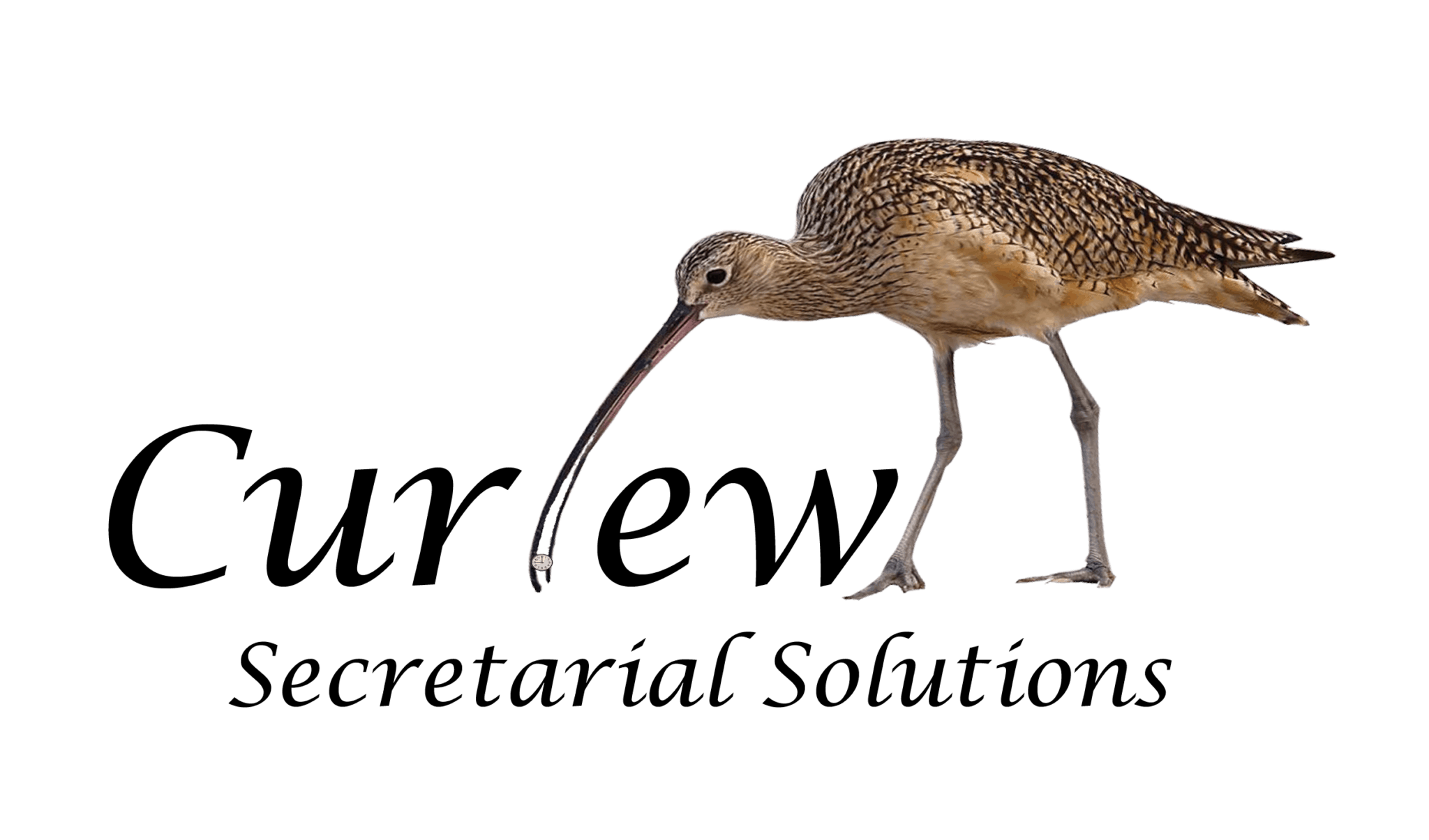 Curlew Secretarial Solutions