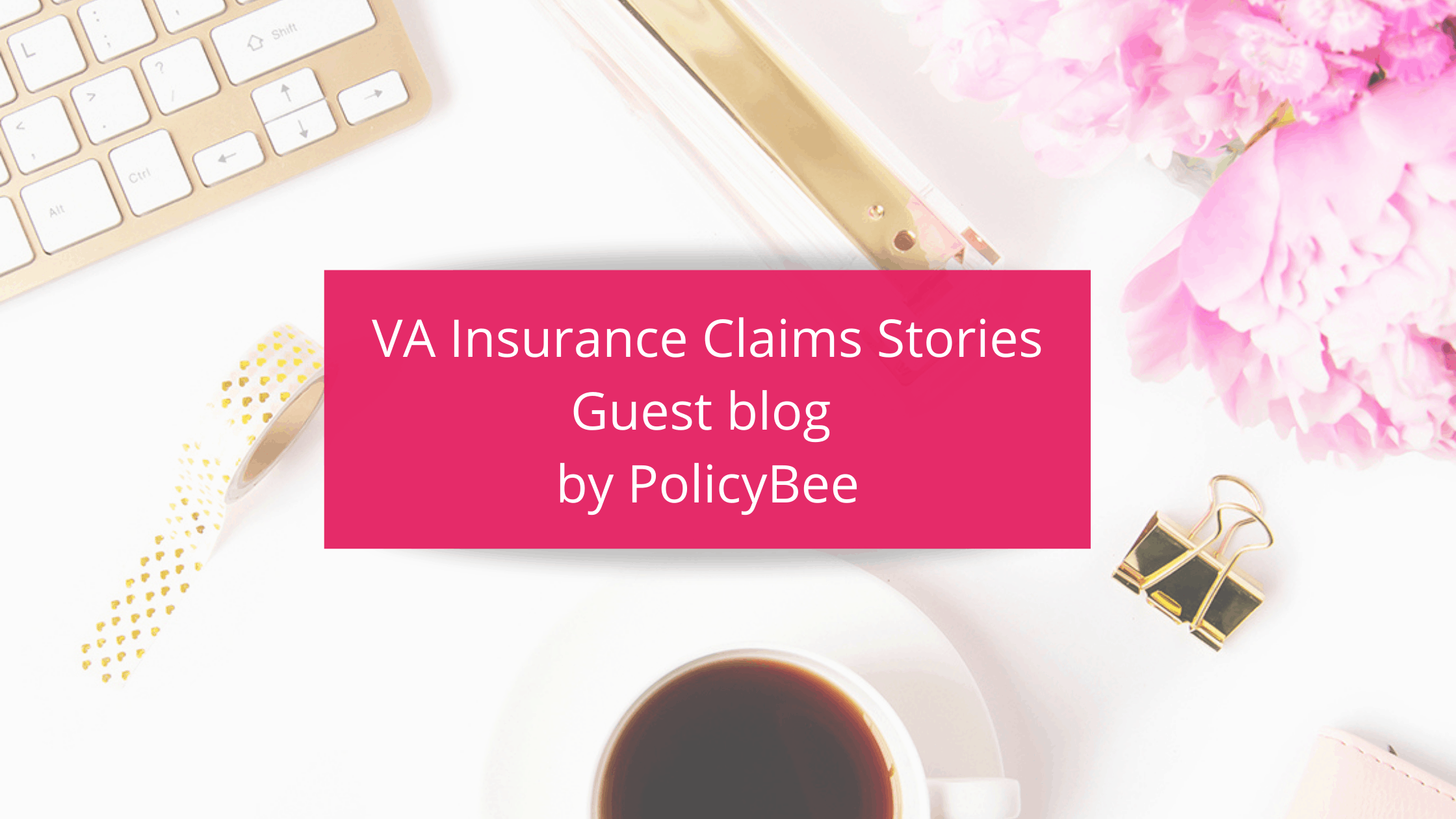 VA Insurance Claims Stories Blog Graphic
